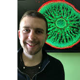 The Hidden Half Team