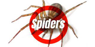 Rodents in winter, stink bugs in fall, etc.) every time is easy, efficient and. Homepage Aardvark Pest Control Inc