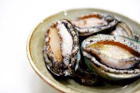 Abalone meeresfrüchte tiefkühlfilmreihe, die tiefgefrorene wilde abalone, abalone, adobe grüne sukkulente, echeveria sukkulente abalone cactaceae blatt, topfblatt, abalone, aloe brevifolia. Seeohr Wando Abalone Koreanisches Kostenloses Foto Auf Pixabay