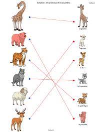 Check spelling or type a new query. Les Animaux Et Leurs Petits 2 Tidou Fr