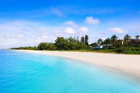 The distance between naples and orlando is 168 miles. 5 Most Beautiful Cities In Florida