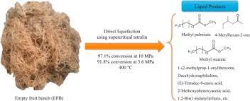 Oil palm empty fruit bunch on alibaba.com when making attractive decorations that last a long time. Liquefaction Of Oil Palm Empty Fruit Bunch Using Sub And Supercritical Tetralin N Dodecane And Their Mixture Sciencedirect