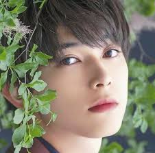 国宝級イケメンランキング第1位 オタクの迷宮 映画と舞台と音楽と chaos a 美しい人 吉沢 亮 吉沢