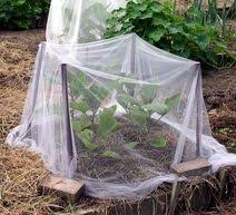 Check spelling or type a new query. 23 Garden Screening Ideas Garden Screening Garden Vegetable Garden