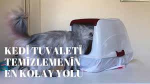 kedi tuvaleti temizliginde super bir yontem buldum youtube