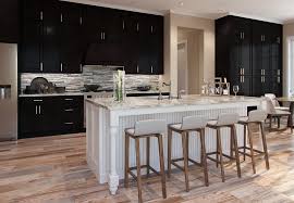 Our kemper cabinets come in many designs that compliment previous baby sunshine releases. Kemper Cabinets Atlanta Marietta Truesource Home Specialties