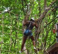 Air Hike Ropes Course | North Carolina Zoo