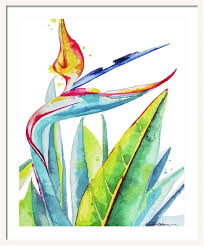 Watercolor Bird Of Paradise Png Pin On Limezinnias Design Merchandise