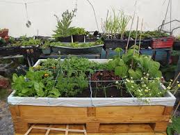 The square foot gardening (sfg) method was developed in the late 1970's by mel bartholomew, who was looking for a way to a grid is what makes a square foot garden. Square Foot Gardening Growing Guides