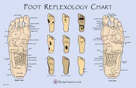 Free Printable Reflexology Charts Acupressure