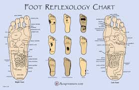 Free Printable Reflexology Charts Acupressure