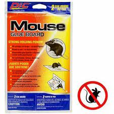 If you encounter two or more answers look at the most recent one i.e the last item on the answers box. 2x Mouse Glue Traps Sticky Boards Rat Mice Snake Rodent Insect Disposable Trays 9787247798037 Ebay