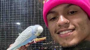 Fundraiser for William Newton by Destiny Morris : Help Polo (austin) pay  for medical expenses.