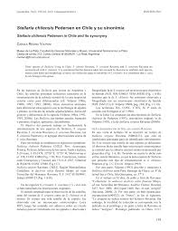 Image result for Stellaria mannii