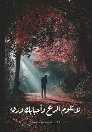 Pin By Marwa Ismail On رمزيات وكذا Arabic Quotes Goodbye Quotes Words Quotes