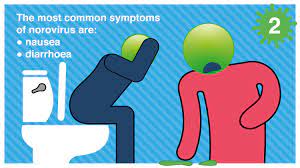 Los norovirus son un grupo de virus relacionados. A Guide To Norovirus Medipal Knowledge Hub Medipal