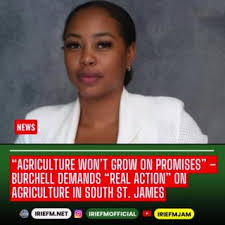 People’s National Party Caretaker for South St. James, Nekeisha Burchell,  is calling out the Government for what she describes as “a yearly ritual of  pretty speeches with no follow-through” when it ...