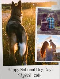 Man's best friend deserves to be celebrated every. 56sam4spckkfdm