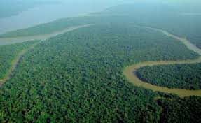 10 Longest Rivers In The World 10 Most Today