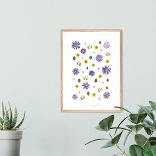 Herbier Bleu Fleurs Anemones Paris Herbier Presser De Fleurs Fleurs
