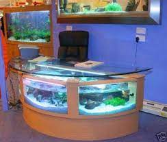 This aquarium coffee table is just a fab feature piece to your home! Ha My Next Office Fishtank P Amazon Com 110 Gal Half Circle Shape Desk Aquarium Fish Ready With Everything Fish Tank Cool Fish Tanks Aquarium Fish Tank
