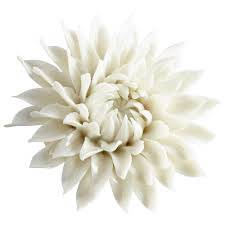 At your doorstep faster than ever. Porcelain Wall Chrysanthemum Collection Moss Manor