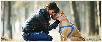 We are happy to provide this website as an additional service to the families we serve. Faithful Friends Pet Memorial Services Home Facebook