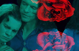 THE ROOM New Zealand