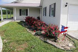 What causes this unsightly growth on my knockout roses? Knockout Roses Picture Perfect Cooking