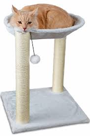 Another option is to diy. Cat Tree House 16 X 16 X 20 Inches Multi 2 Level White With Scratching Post Tower Hammock Bed And Pet Toy Ball China Cat Tree House And Cat Scratching Tree Price