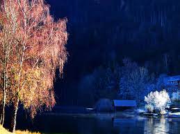 Quì è presentato il catalogo grande di case in bassa austria (austria). Herbst Und Winter Am Lunzer See Foto Bild Europe Osterreich Niederosterreich Bilder Auf Fotocommunity