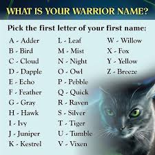 Do You Belong To Skyclan Thundercla Warrior Cat Names Warrior Cats Name Generator Warrior Names