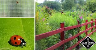 Don't let pests and disease rob you from a good garden harvest. How To Keep Pests From Your Garden Gardening Channel
