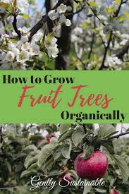 Check spelling or type a new query. Pin On Garden