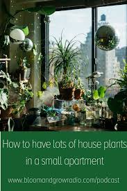 Listen To The Episode Of The Bloom And Grow Radio Podcast On Your Preferred Podcast Player Of Choice House Plant Care Planting Flowers Plants