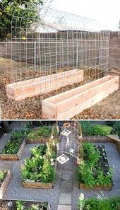 Garden Canes Argos Gardenvines Vegetable Garden Trellis Vegetable Garden Design Backyard Vegetable Gardens
