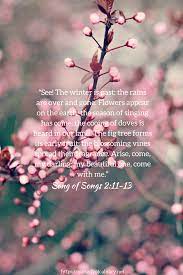 Check spelling or type a new query. Pin On Inspirational Quotes