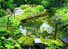 Pond informer is supported by its readers. Pond Protection And Security Device For Your Pond Velda