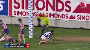 $60,000 aud on draftstars ($15 entry, 125 max) $6,000 usd on draftkings ($12 entry, 17 max) weather: Round 19 Afl Highlights Geelong V Western Bulldogs Youtube