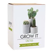 Introduction growing cactus from seed is not terribly difficult, although it does take purpose and patience. Grow It Cactus Plants Witt International