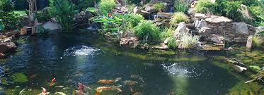 1052 melody ln, roseville, ca 95678, usa , roseville, ca 95678, usa. Koi Pond Pond Or Pondless Waterfall Kit California Pond Supplies