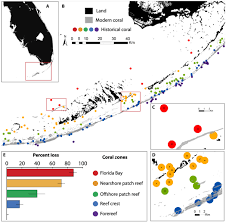 Ghost Reefs Nautical Charts Document Large Spatial Scale Of