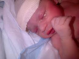 Rocio Taveras (@Rociota)