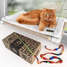 Pin On Katt