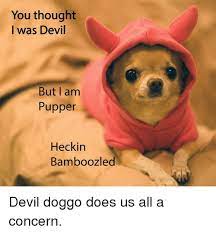 Pin On Animals Cute Wallpaper