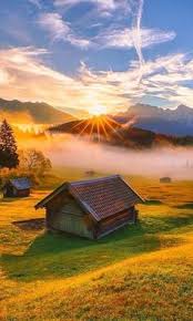 Susu beruang jadi rebutan, ini kata nestle. Darsa Sutarma Darsasutarma Profile Pinterest