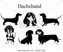 Dalmatians are some of my favourite dogs so i was so happy to draw this spotty boi ^_^. Dachshund Set Vector Photo Free Trial Bigstock