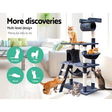 Share ' share review by jennifer b. Royal Grey Big Cat Tree Cat Furniture I Pet