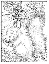 There are a lot of adult coloring pages patterns flowers around the internet, and you should surely find one of them. Fall Squirrel Digital Coloring Page Digi Stamp Thanksgiving Etsy Fall Coloring Pages Coloring Pages Squirrel Coloring Page