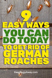 How To Get Rid Of German Roaches Without An Exterminator Pest Control Roaches Roaches German Cockroach